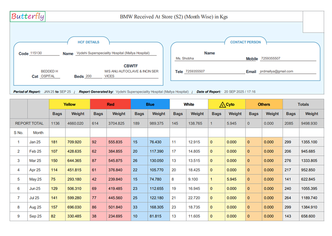 BMW Month Wise Report 1 Preview