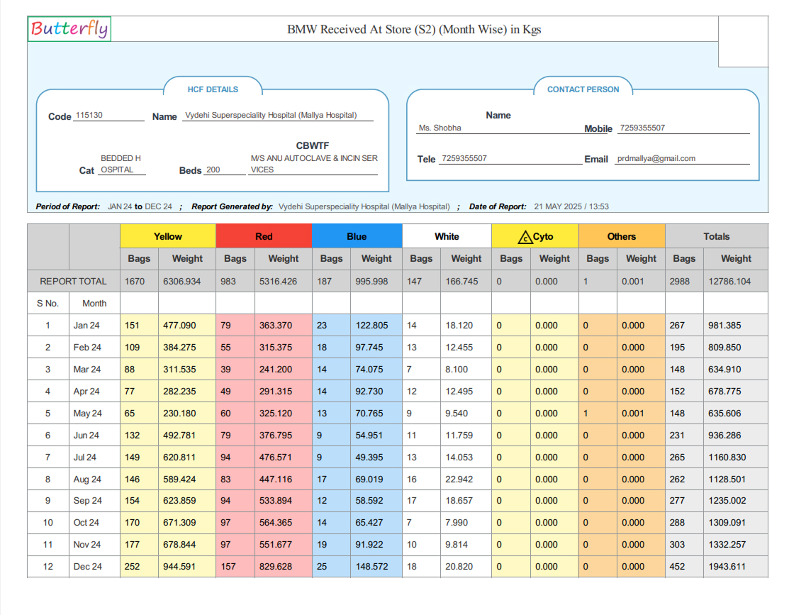 BMW Month Wise Report 2 Preview